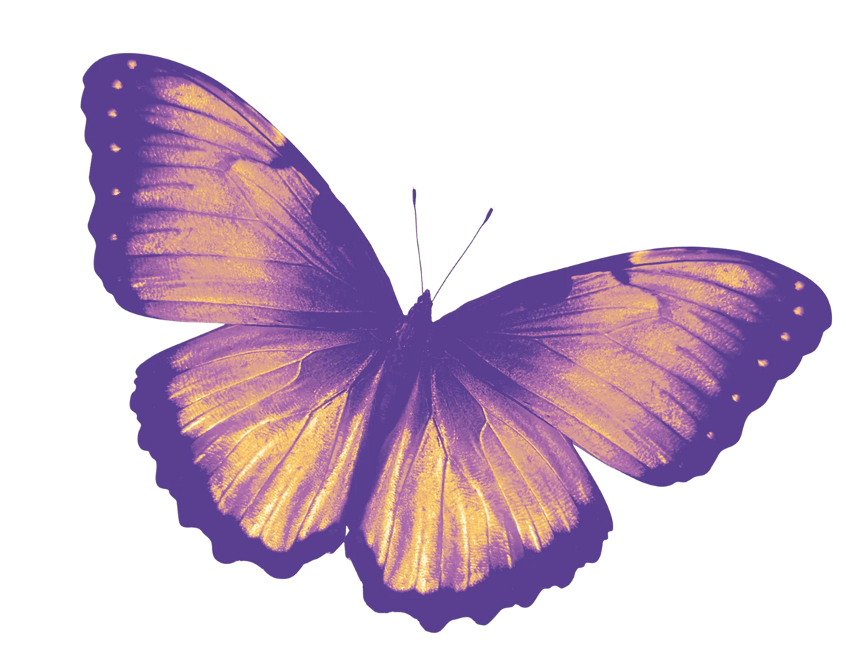 Purple and gold butterfly illustration